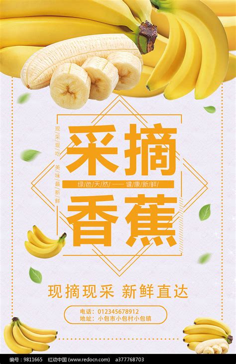 香蕉水果海报设计_红动网