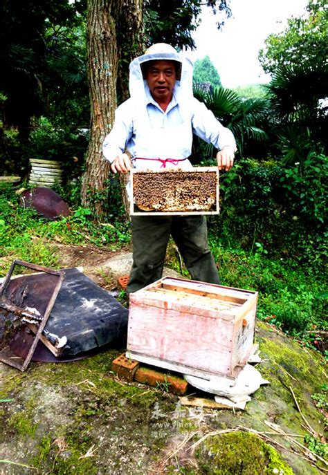 蜂产品新规出台：蜂蜜不得添加任何其他物质
