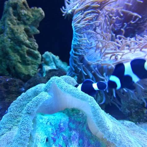 深海水族馆图片