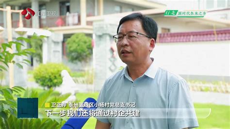 惊艳沪甬两地！宁波这个千年古村，凭这一招实力“出圈”_今日镇江