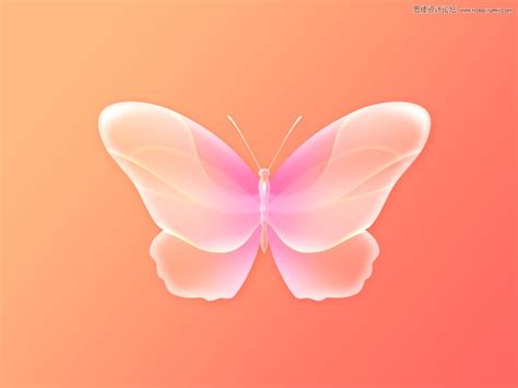 蝴蝶翅膀视频合成素材_红动网