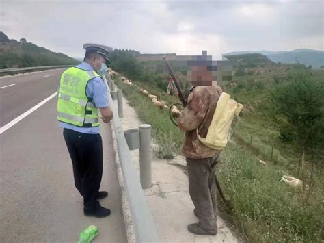 村民高速护坡放羊，民警发现及时劝离-宁夏交警