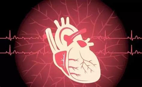 国家心血管病中心多年研究“心脏年龄计算公式”出炉！30秒测出你的心脏寿命！ - 知乎