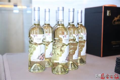 香港酒总考察昌吉葡萄酒产区:葡萄酒资讯网（www.winesinfo.com）