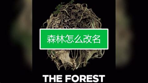 森林怎么改名-百度经验