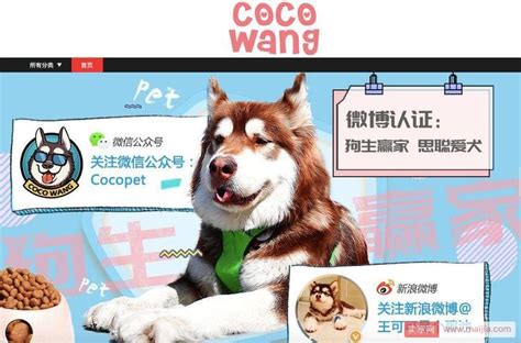 宠物界的第一网红狗：王思聪爱犬王可可淘宝开店年入3000万-卖家网