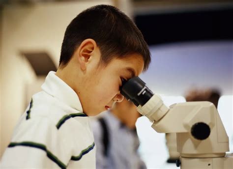 男孩子用放大镜观察蚂蚁元素素材下载-正版素材401736467-摄图网
