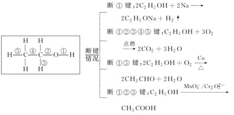 聚乙二醇与环氧氯丙烷的反应产物,99%_湖北鑫红利化工有限公司