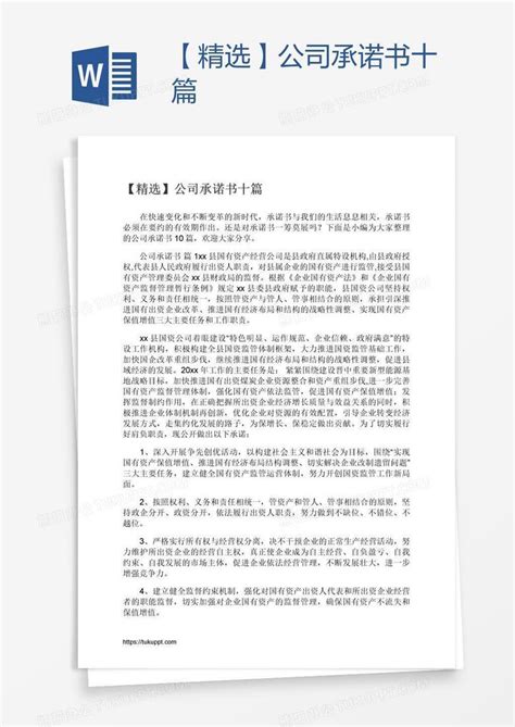 【精选】公司承诺书十篇Word模板下载_熊猫办公