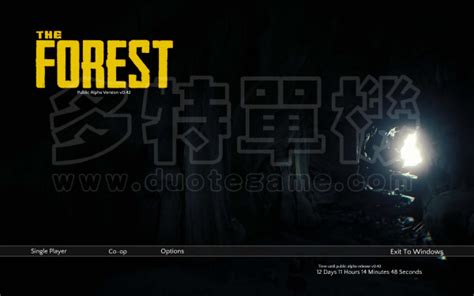 【The Forest中文版下载】森林游戏The Forest百度云资源 简体中文联机版-开心电玩