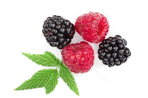 黑莓是什么水果啊，和蓝莓有什么区别？我最近老看到有人吃。？ - 知乎