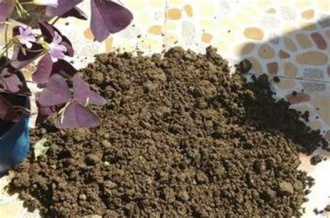 多菌灵如何给土壤消毒，给土壤消毒后多长时间插种-农百科