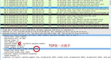 Wireshark使用(中文版)_word文档在线阅读与下载_免费文档