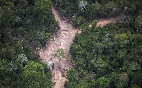 航空拍摄的亚马逊雨林在巴西，南美照片摄影图片_ID:161959036-Veer图库