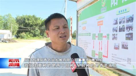 阳东区退役军人事务局到红丰镇宣传《退役军人保障法》