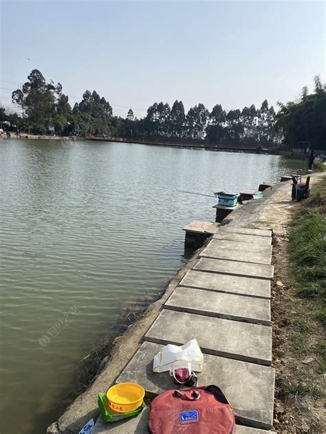 陈家大塘生态湖_陈家大塘生态湖地址_陈家大塘生态湖电话 - 钓鱼之家