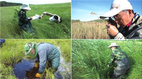 全省首个昆虫多样性监测研究科普基地落地大溪港湿地公园