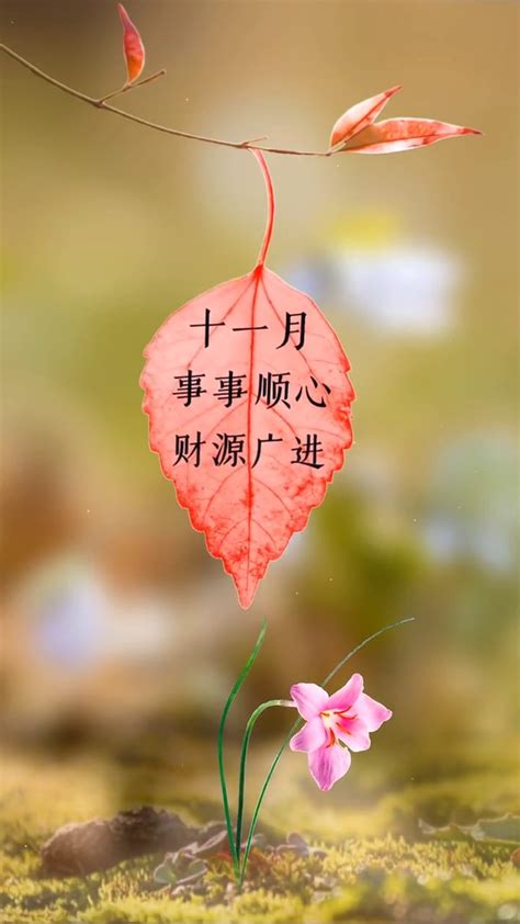 事事顺心图片