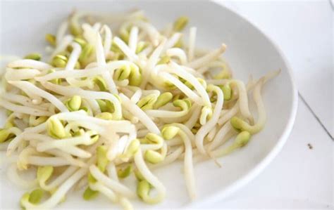 【在家自制绿豆芽的做法步骤图，怎么做好吃】Ann-177_下厨房