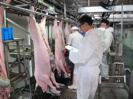 农业部拟组织对《生猪屠宰管理条例》进行修订_政策法规_资讯_厨房设备网