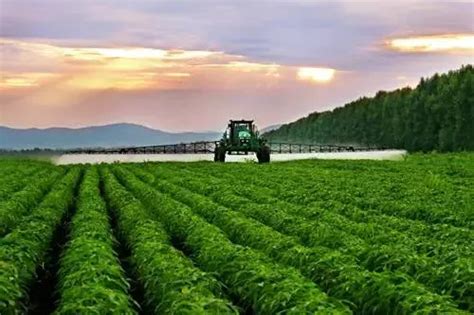 全国农业绿色发展典型案例发布！湖北省3县市入选 - 湖北日报新闻客户端