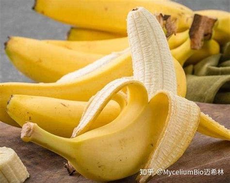 美斯博｜吃香蕉能减肥？早餐香蕉减肥法 让你健康瘦出理想身材…… - 知乎