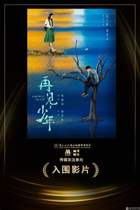 【少年|张子枫张宥浩电影《再见，少年》上影节双双获奖|电影|张子枫|】_傻大方