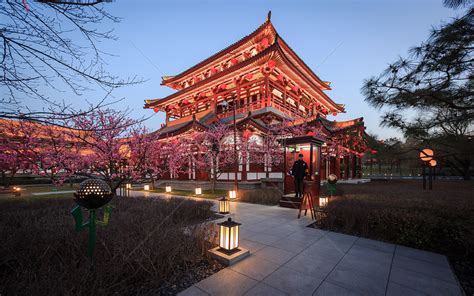 大唐芙蓉园图片