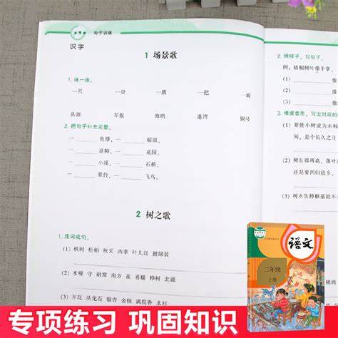 二年级成长感悟：探索人生与梦想的答案