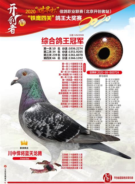 世界十大名鸽图片欣赏,的五大鸽系,名鸽超级种雌图片_大山谷图库
