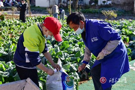 曲靖市罗平县：创新“统规联建” 建起安心房