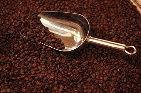 2024年云南咖啡十大品牌排行榜-云南咖啡哪个牌子好-排行榜123网