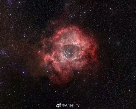 NGC2237号玫瑰星云图片