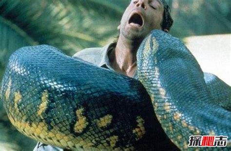 蛇的“嘶嘶”声是用舌头发出来的吗？|蛇|舌头|气孔_新浪新闻