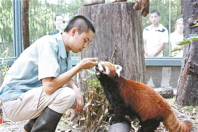 80后女饲养员：喂熊猫真是个体力活[组图]_图片中国_中国网