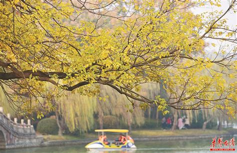红黄橘绿色彩斑斓，北京世园公园秋色“醉美”_京报网