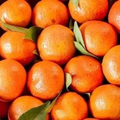 橙子吃多了脸会变黄吗，一天吃三个橙子多吗-秒火食品代理网