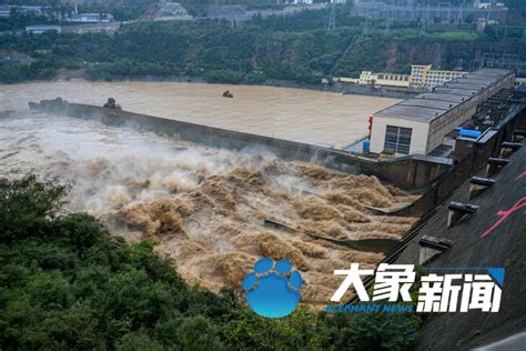 第1号洪水,关于第1号洪水的所有信息 - 中华网河南