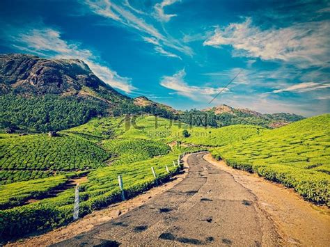 风景道绿茶种植园,穆纳尔,喀拉拉邦,印度印度茶园道路高清图片下载-正版图片300149323-摄图网