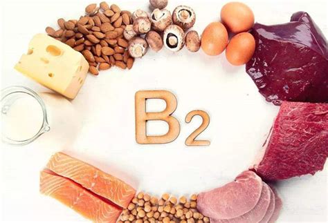 维生素b2的用途是什么，维生素b2作用和功效是什么 - 鲜淘网
