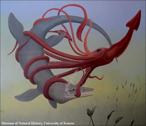 探索史前十二大深海怪物:巨型蛇颈龙体长12米 - 奇闻图片 - 奇趣闻