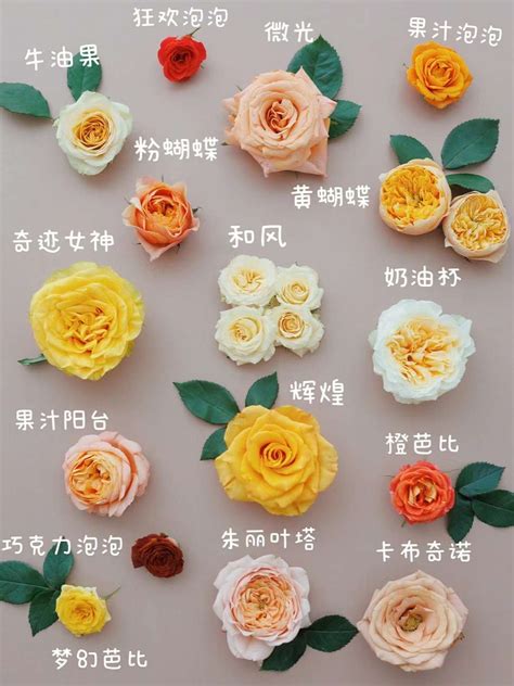 伊特5 的图像结果