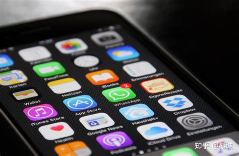 苹果手机访问限制在哪里设置（教你简单5步快速打开苹果手机隐私访问限制）-蓝鲸创业社