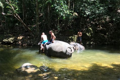 泰国象岛少有的体验【海滩戏水】【丛林骑象】【大象表演】线路推荐【携程玩乐】