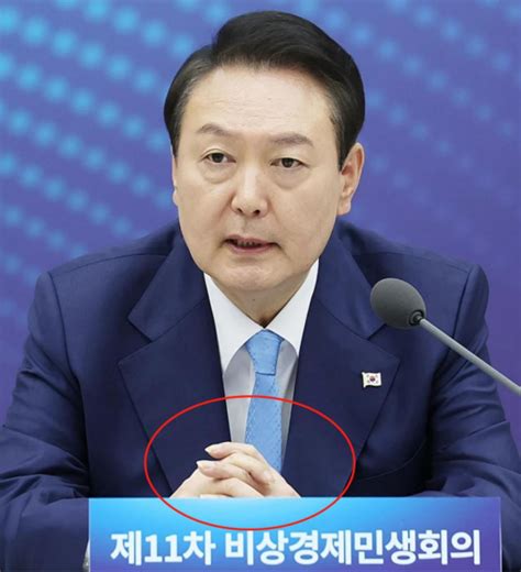 韩媒：尹锡悦的手指甲成韩网民争论话题 朝野两党支持者各执己见_凤凰网