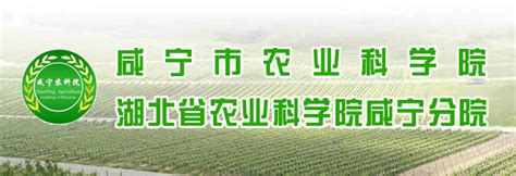 咸宁市农科院2020年“招硕引博” 入围考察体检人员名单公布-咸宁市农业科学院