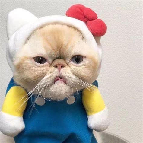 搞怪情侣头像非主流