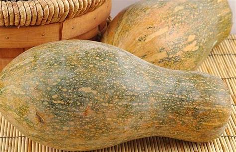 100公斤重的南瓜，180公分长的丝瓜……这些“航天育种”的蔬菜你见过吗？_手机新浪网