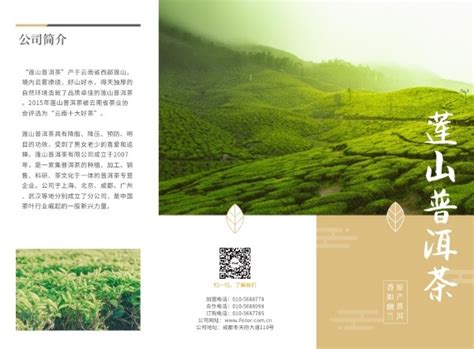 普洱茶品牌加盟介绍宣传页三折页模板在线图片制作_Fotor懒设计