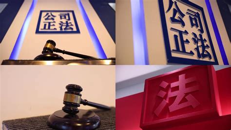 广东省司法厅：有序开展海外远程视频公证试点和赋强公证试点